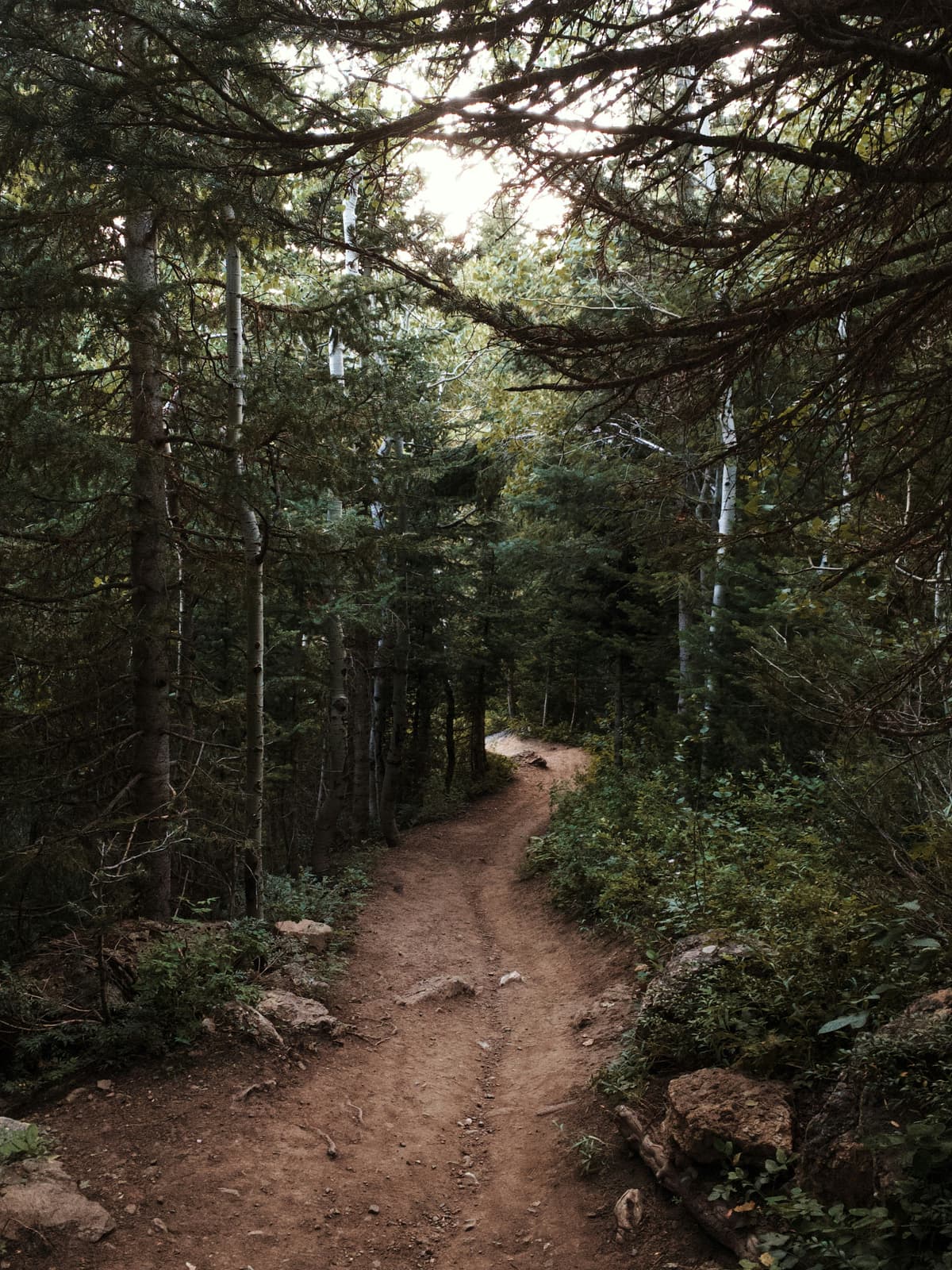 Nature Trail